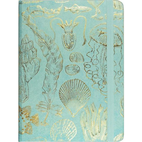 Sea Life Sketches Midsize Journal