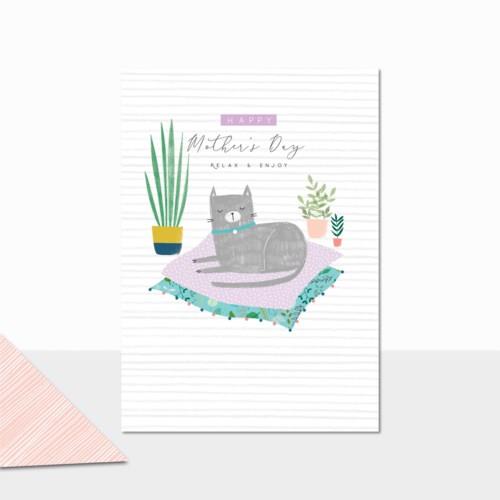 Cat | HY202